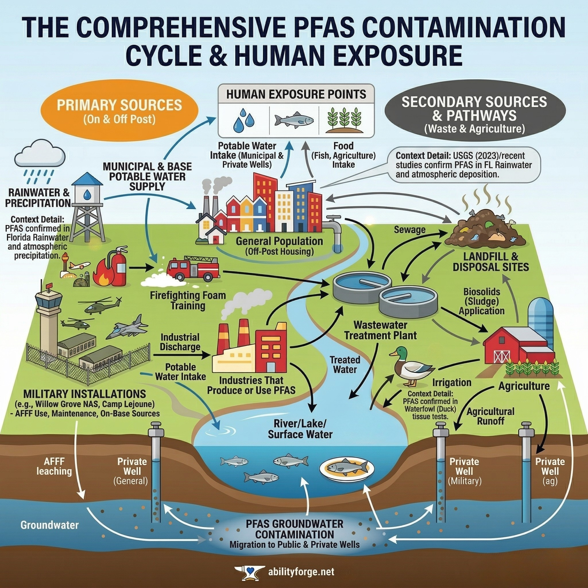 The Comprehensive PFAS Contamination Cycle and Human Exposure Pathway — AbilityForge.net