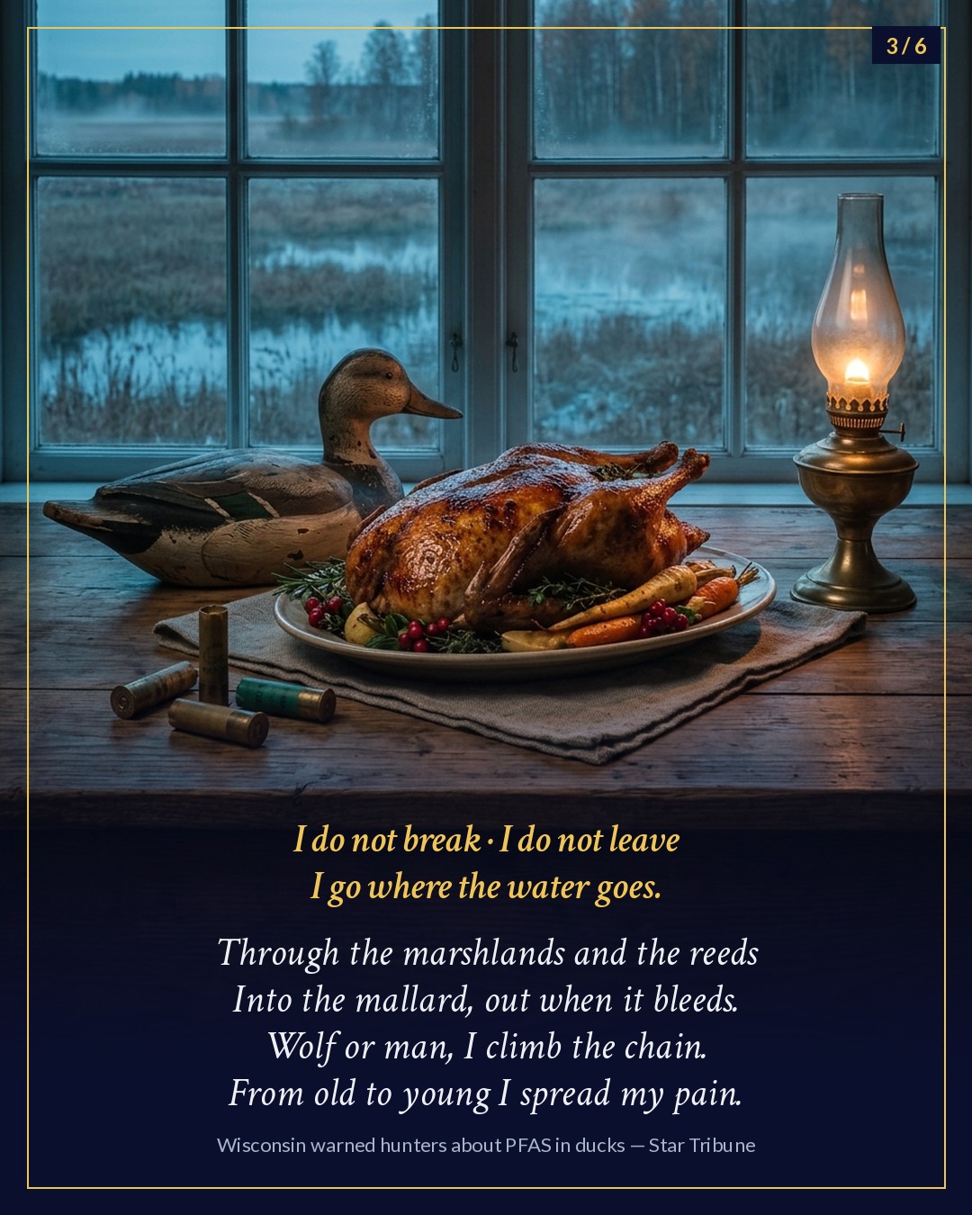 Slide 3 of 6: a roasted wild duck on an autumn table beside a duck decoy and spent shotgun shells.