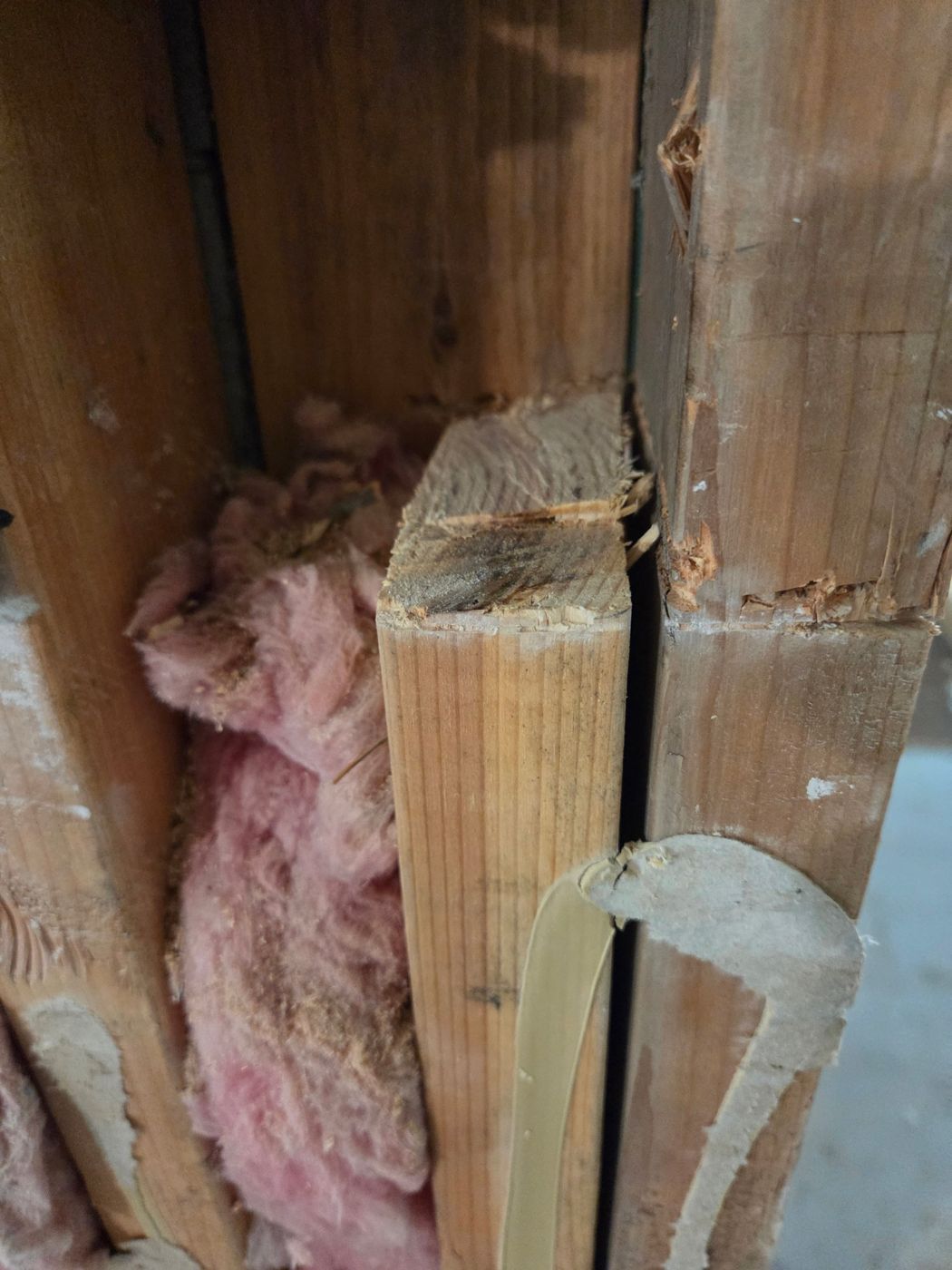 A door-frame jack stud with a section cut out, found behind drywall